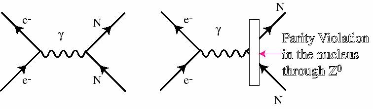 Feynman diagrams for the electron-nucleus interactions